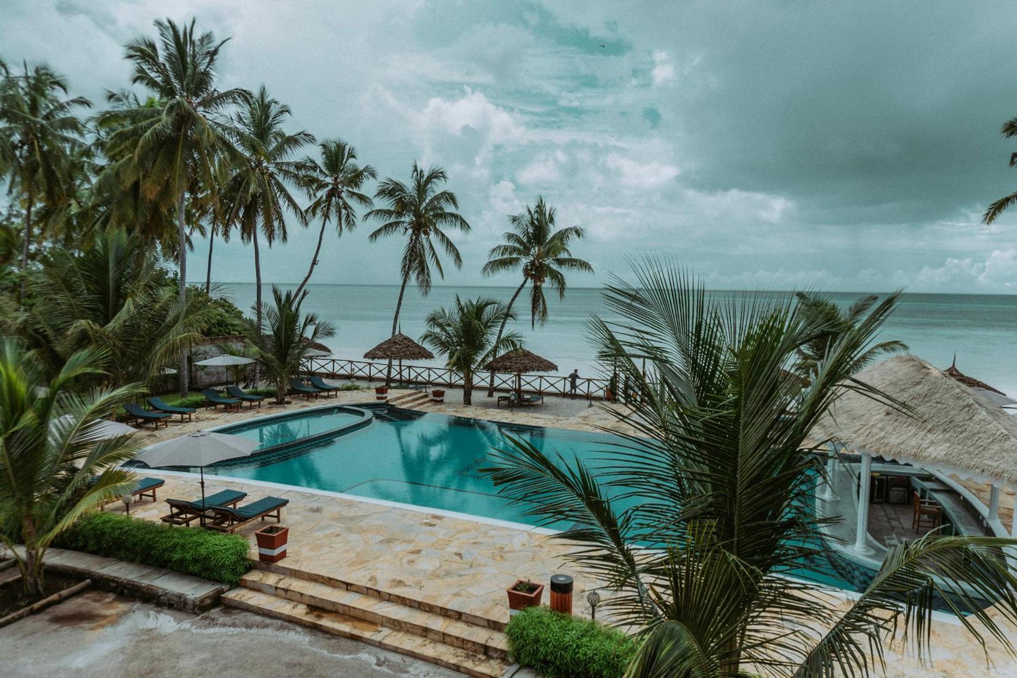 Sunny Palms